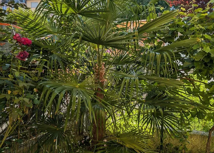 City-apartments - Friendly Reception & Free Bikes Lägenhet Graz